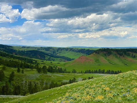wyoming home page .